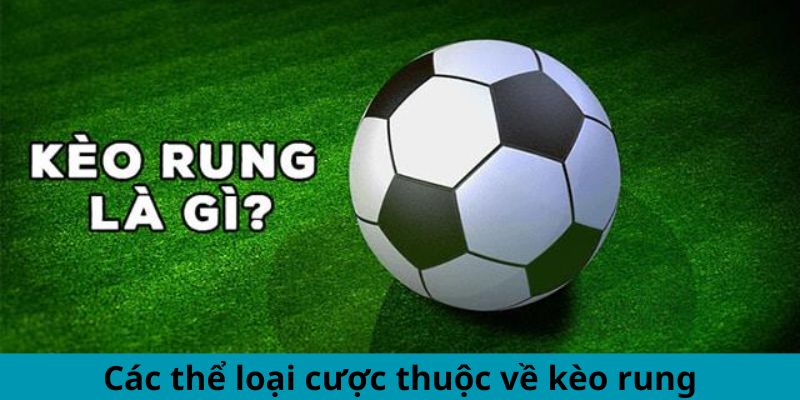 Các thể loại cược thuộc về kèo rung